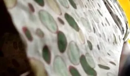 Panda Girl jouait dans le cul x vidéos porno français