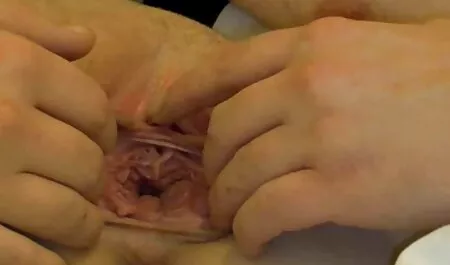 vidéo 02 de la fille film porno francais vintage numéro 07